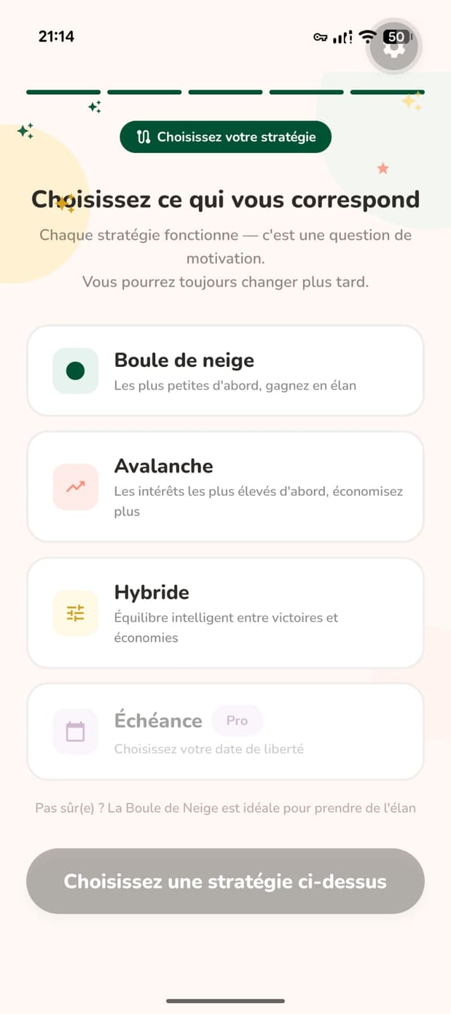 Payoff strategy recommendation screen