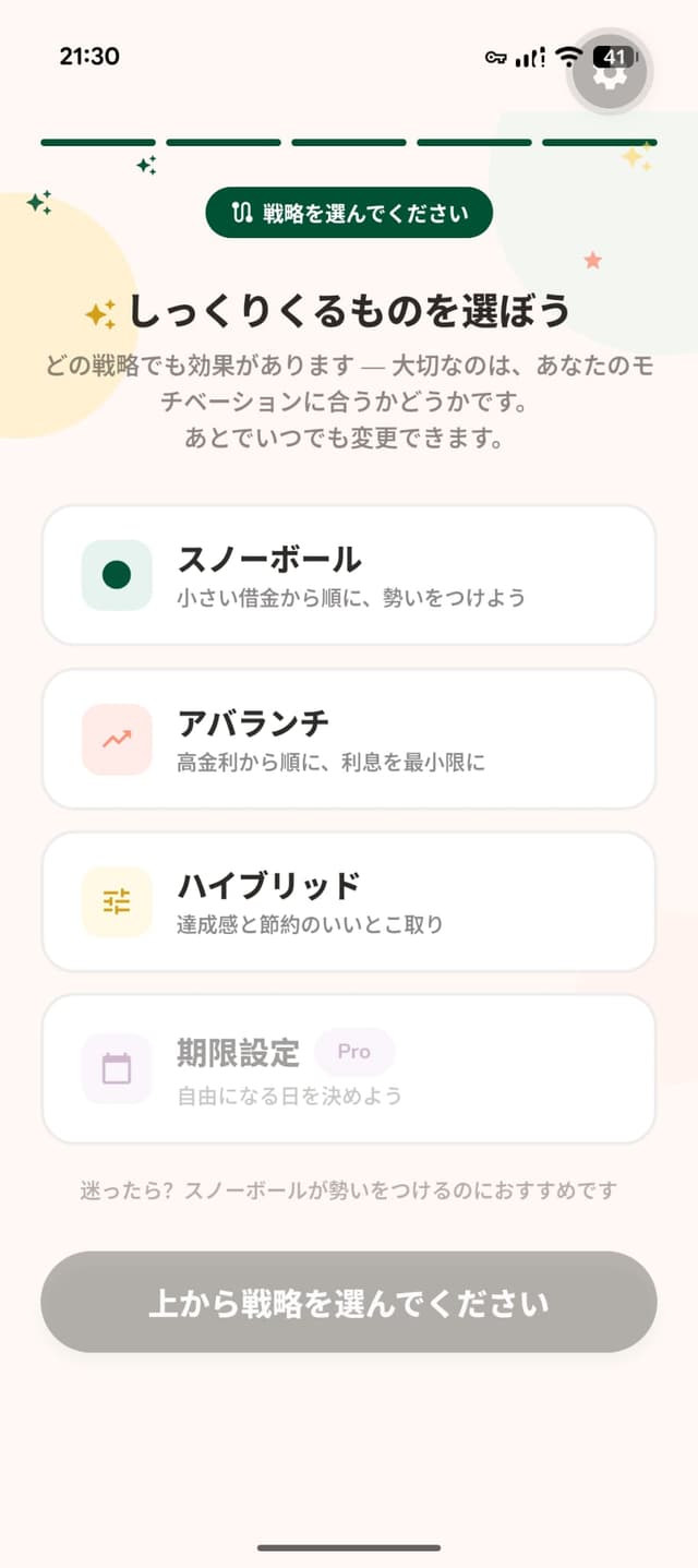 Payoff strategy recommendation screen