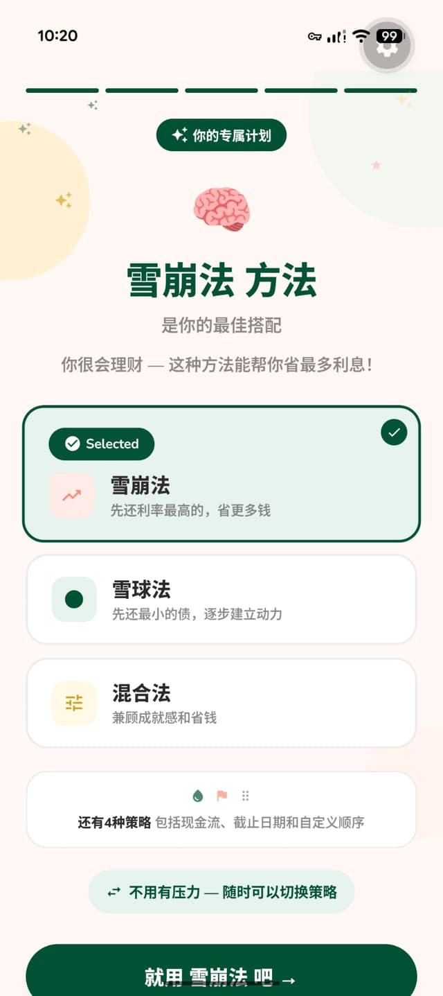Payoff strategy recommendation screen