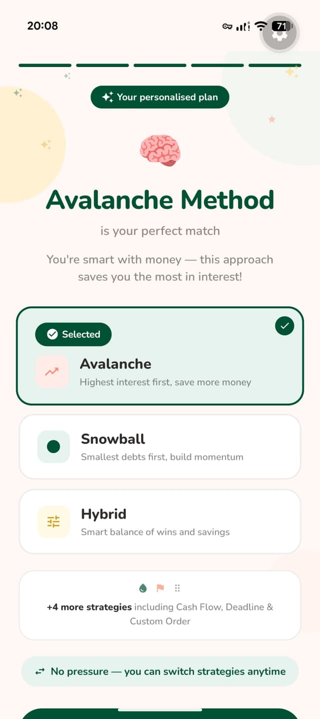 Payoff strategy recommendation screen